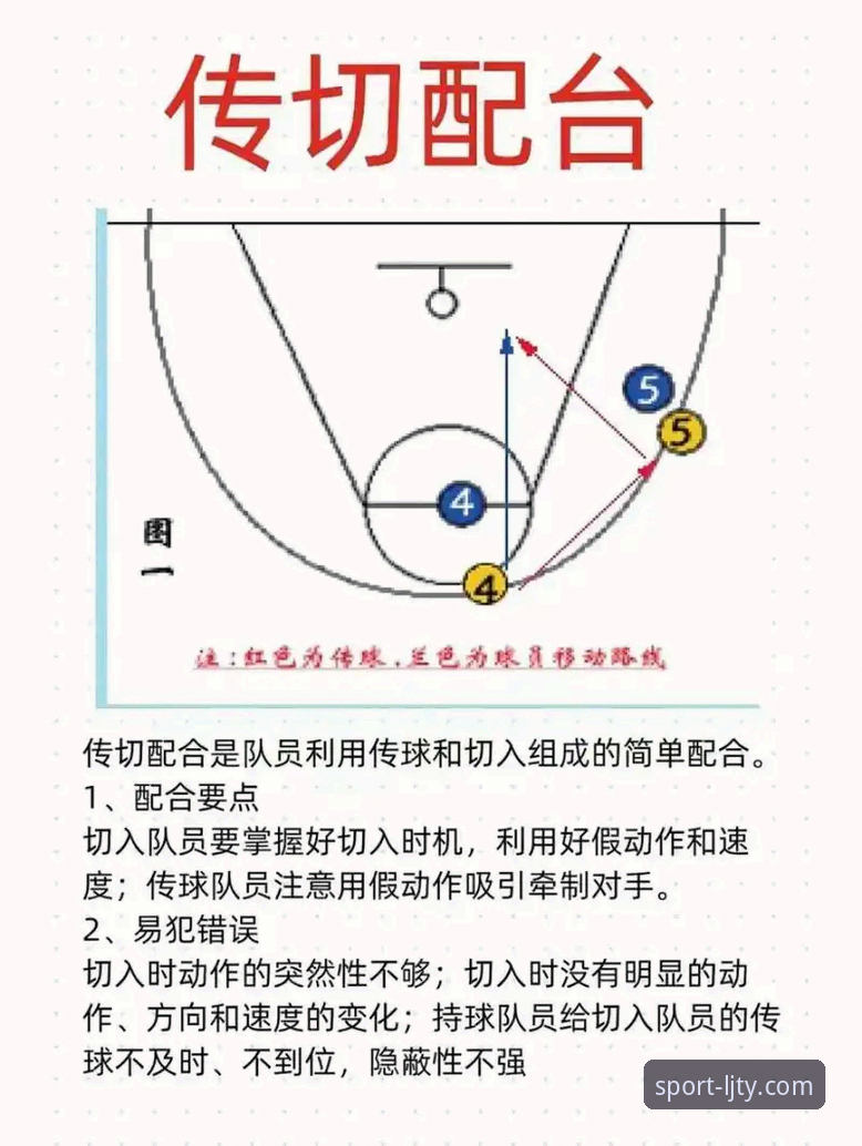 乐竞体育使用教程 如何像兰道夫一样在关键时刻掌控比赛节奏?